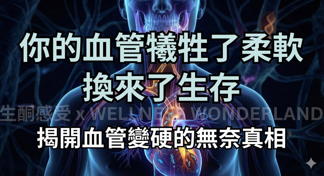 (三) 現代人看病，總帶著一種修車的粗暴思維