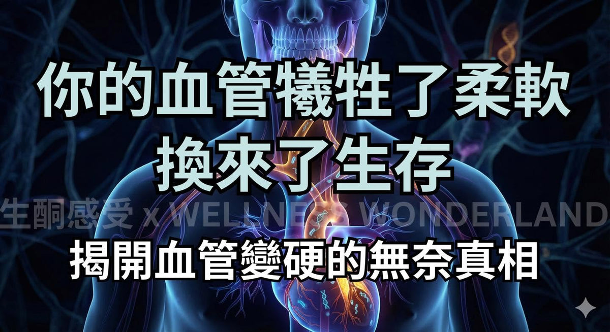 (三) 現代人看病，總帶著一種修車的粗暴思維