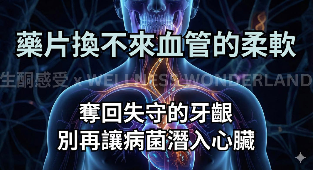 (四) 你的心臟健康，其實決定在口腔邊境