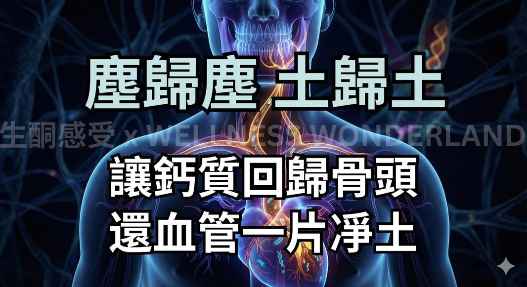 (六) 最終篇 : 塵歸塵，土歸土，讓鈣質回歸骨頭，還血管一片凈土