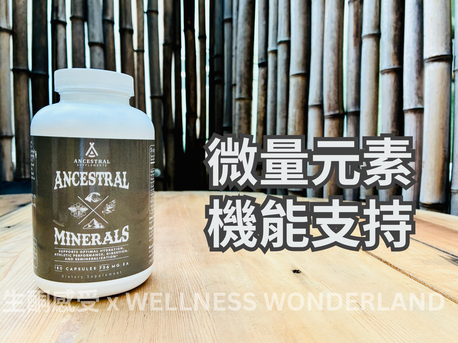 美國 Ancestral Supplements<BR>Ancestral Minerals 原始礦物質