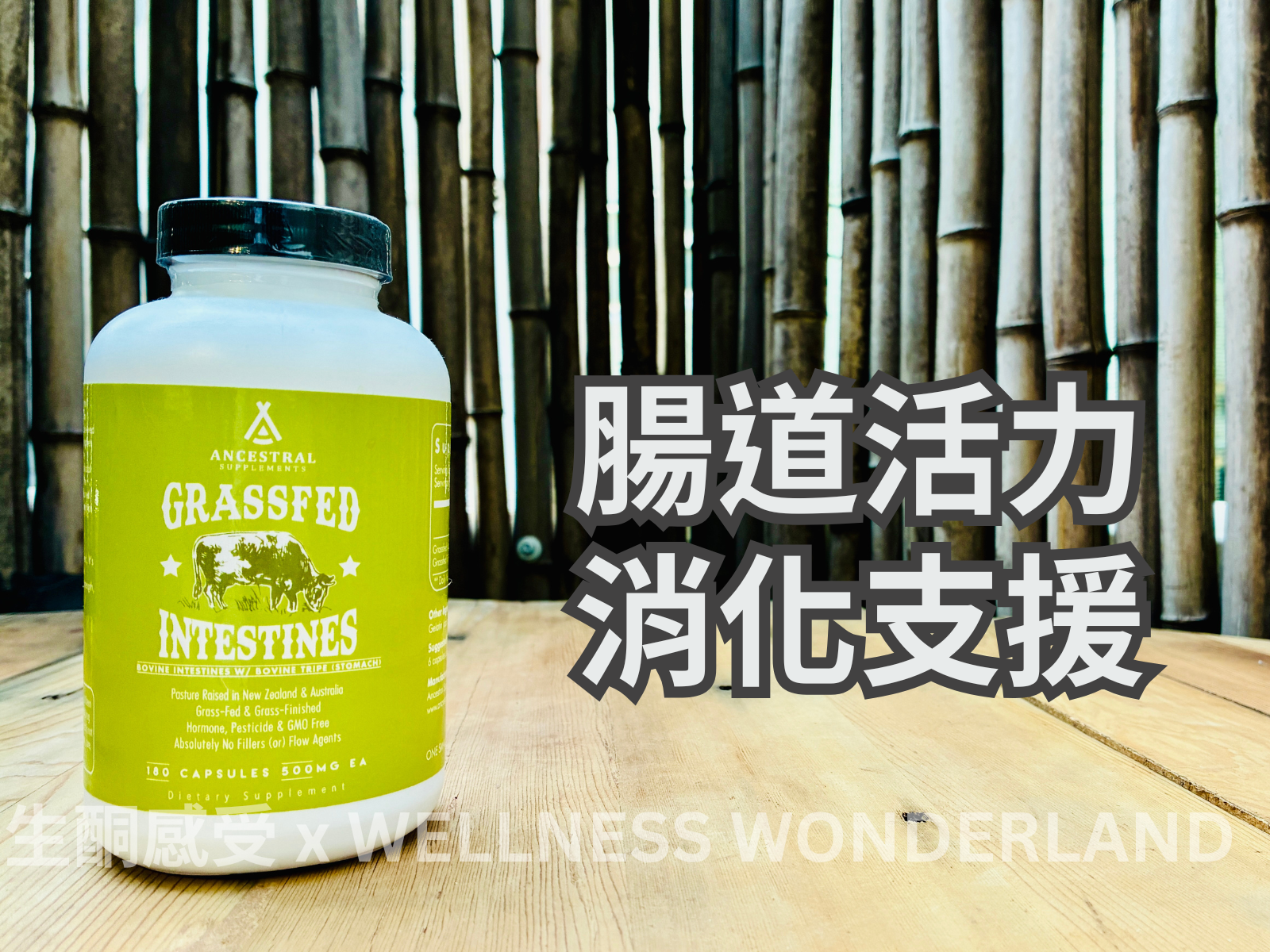 美國 Ancestral Supplements<BR>Grass Fed Beef Intestine 草飼牛腸道