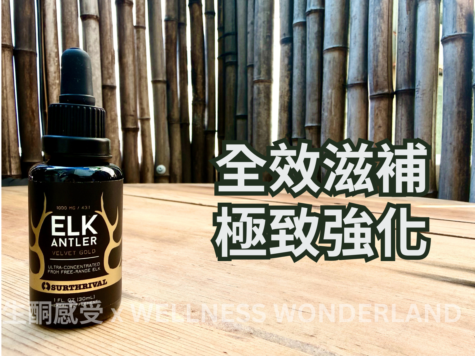 美國 Surthrival<BR>Elk Antler Velvet Gold 麋鹿鹿茸 ( 金 )