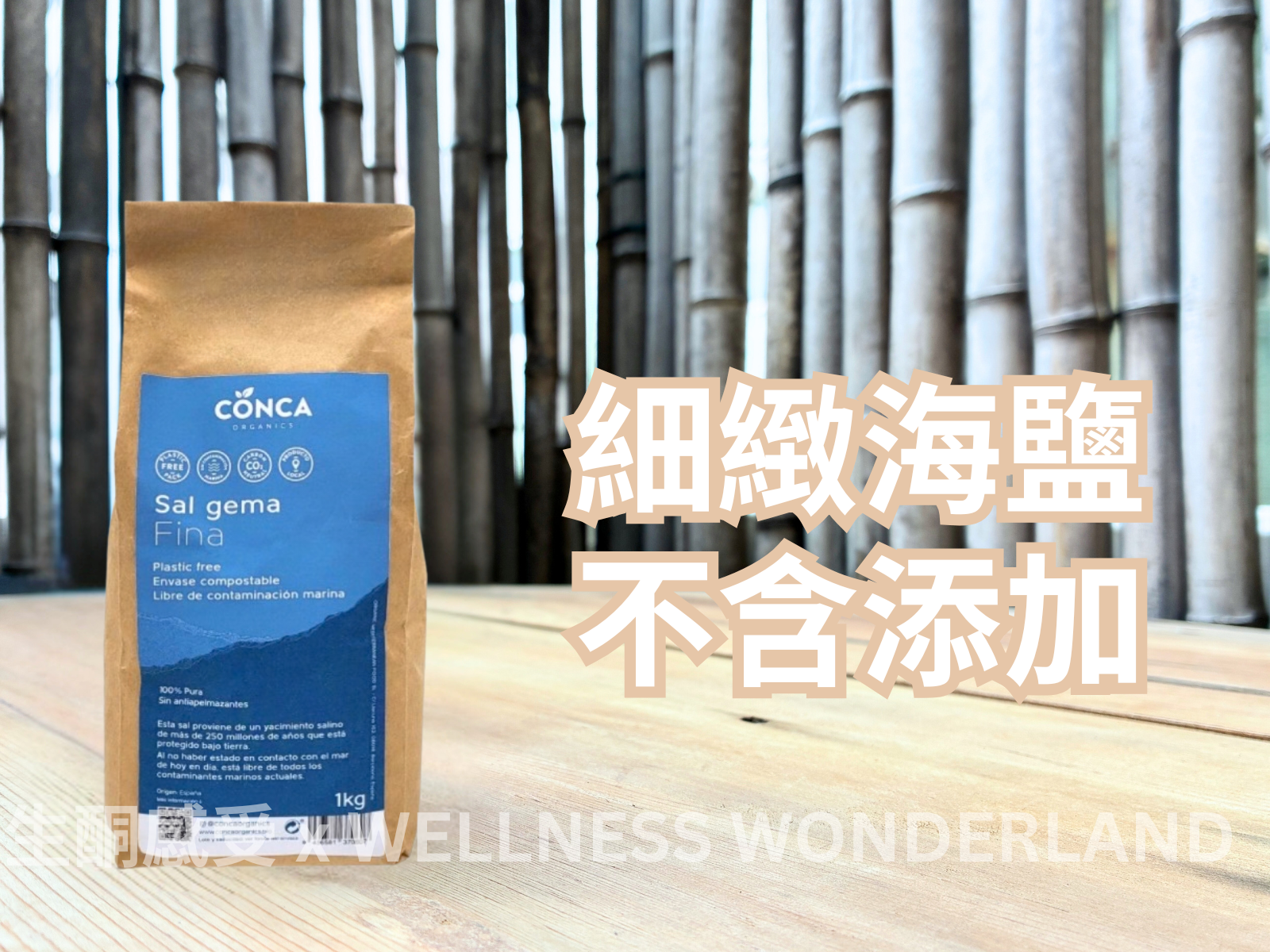 Conca, Spain<br> Sea Salt - Fina Fine Sea Salt