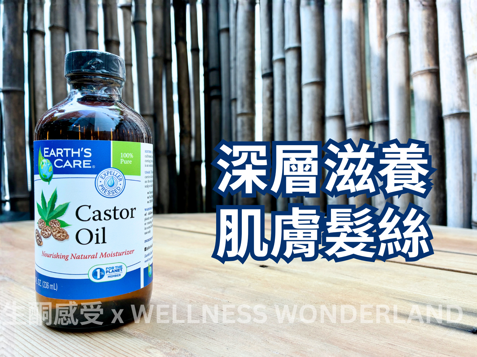 EARTH'S CARE (USA)<br> Castor Oil 