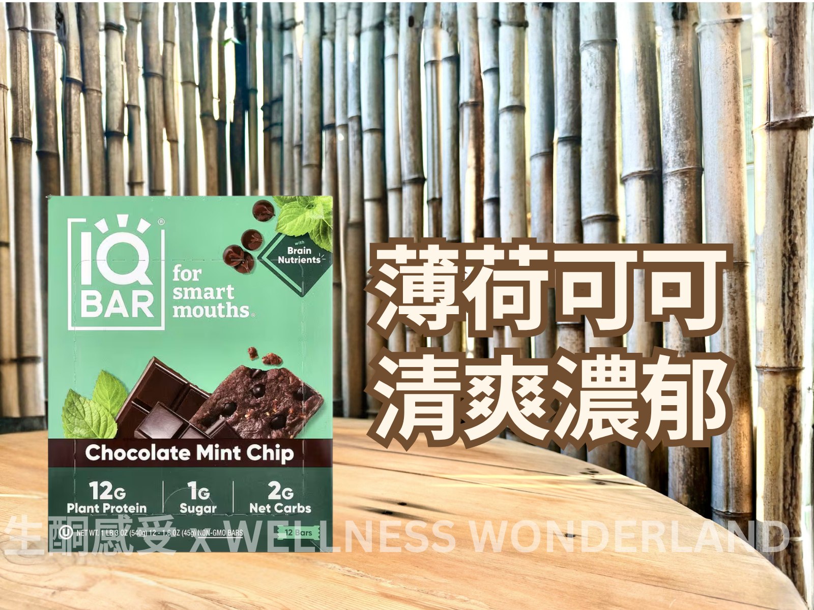 美國 IQ BAR<BR>Chocolate Mint Chip 薄荷朱古力