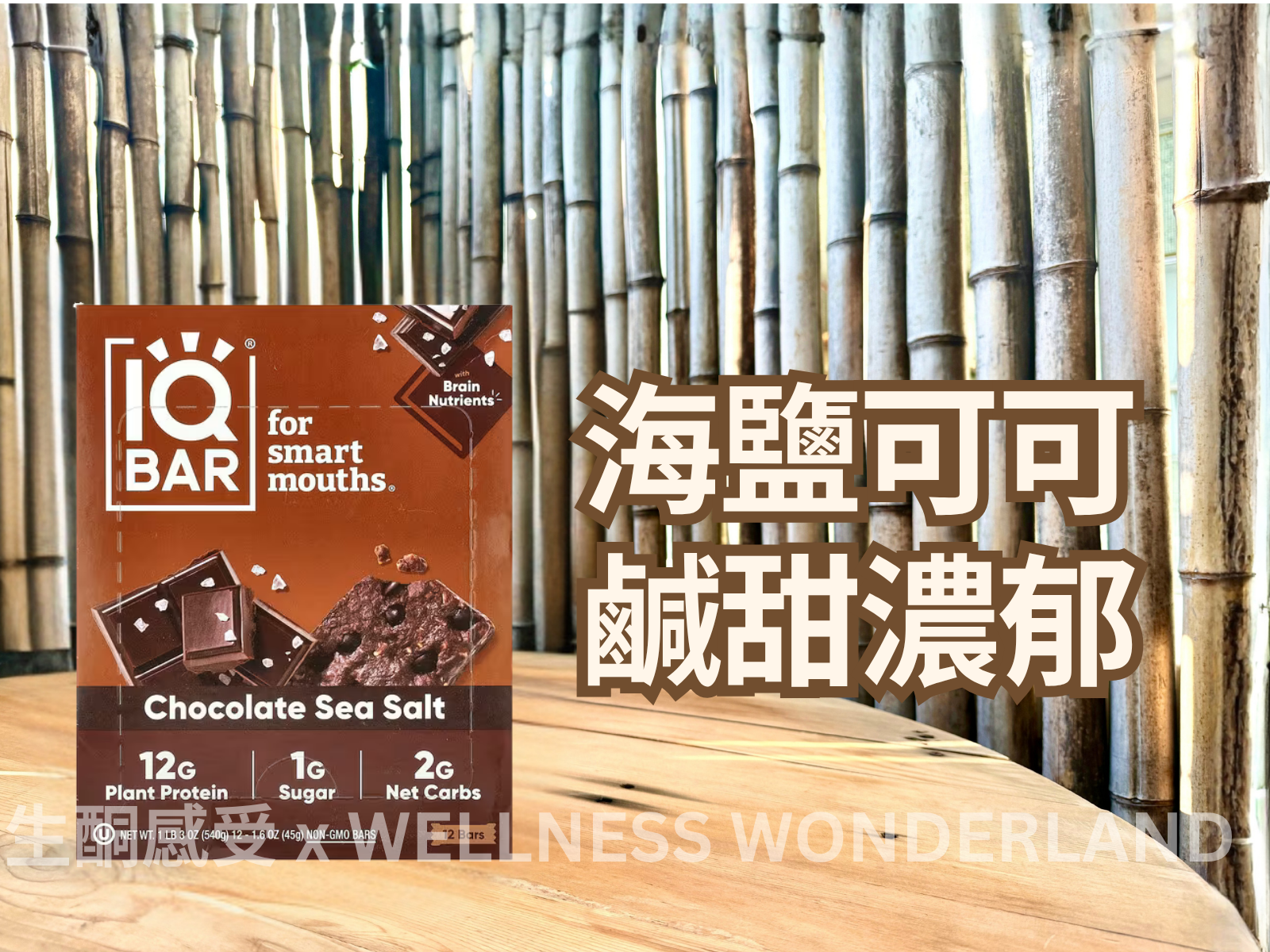 美國 IQ BAR<BR>Chocolate Sea Salt 海鹽朱古力