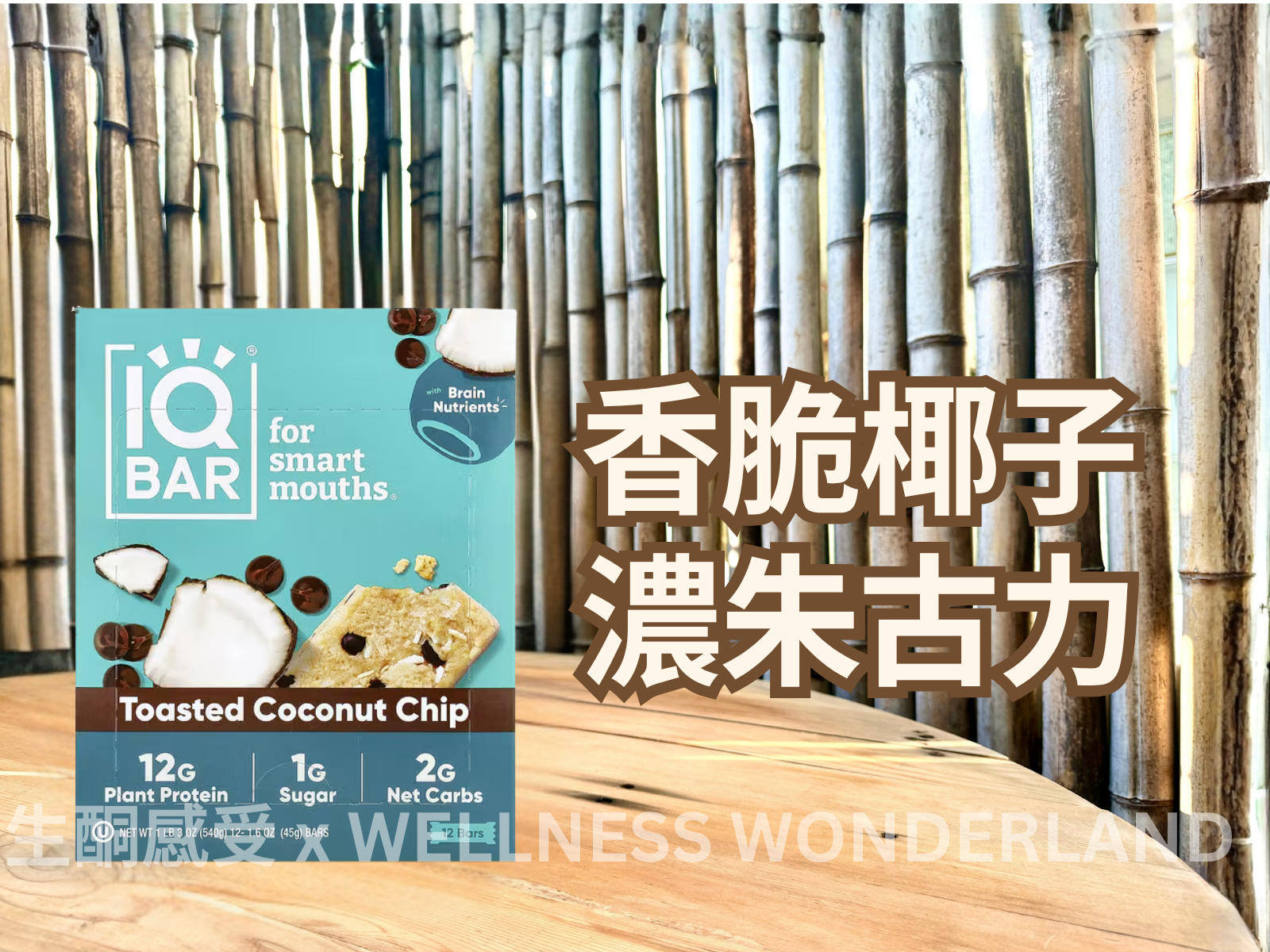 美國 IQ BAR<BR>Toasted Coconut Chip 烤椰子朱古力脆片