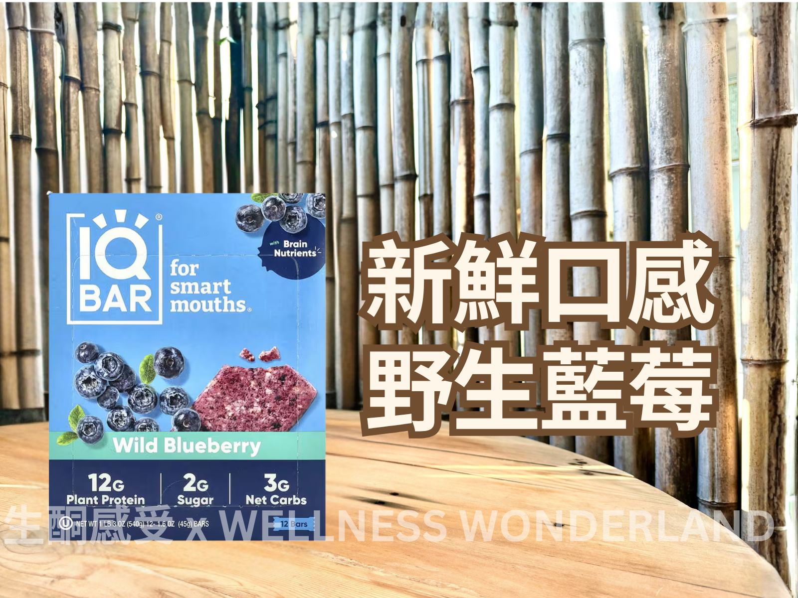 美國 IQ BAR<BR>Wild Blueberry 野生藍莓