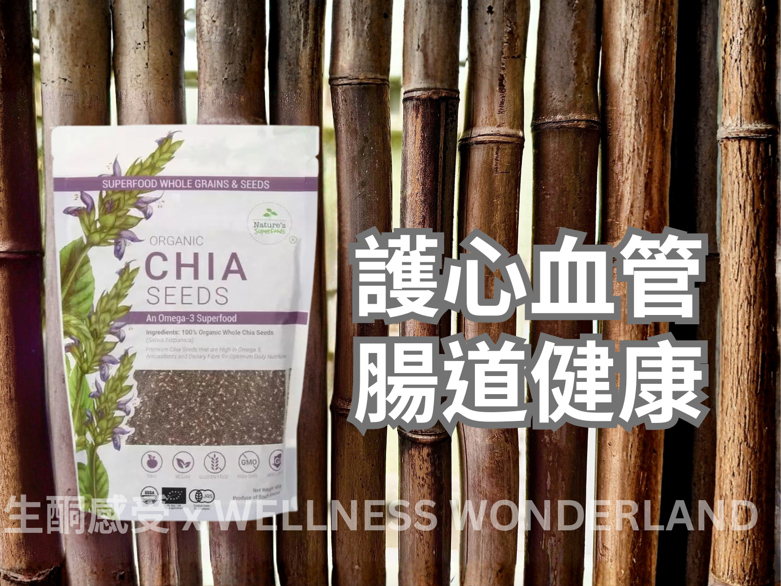 新加坡 Nature's Superfood<BR>Organic Chia Seeds 1kg 有機奇亞籽 ( 1kg )