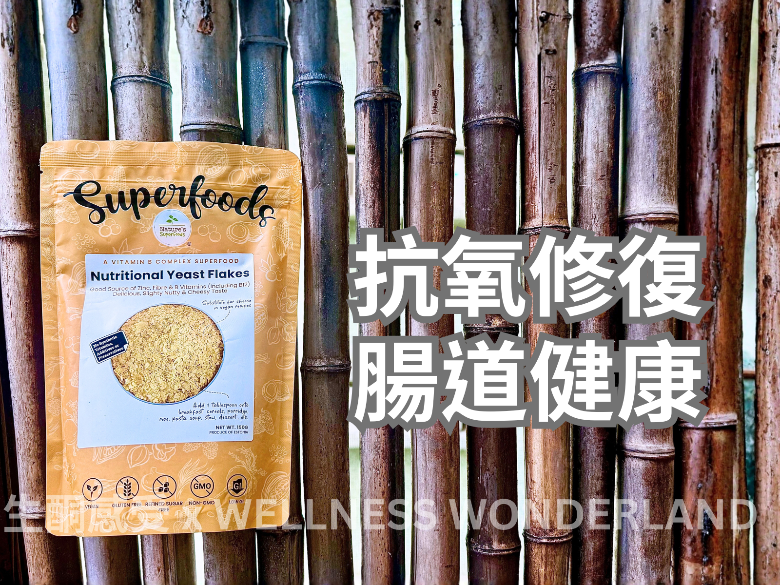 新加坡 Nature's Superfood<BR>Yeast Flakes 營養酵母片