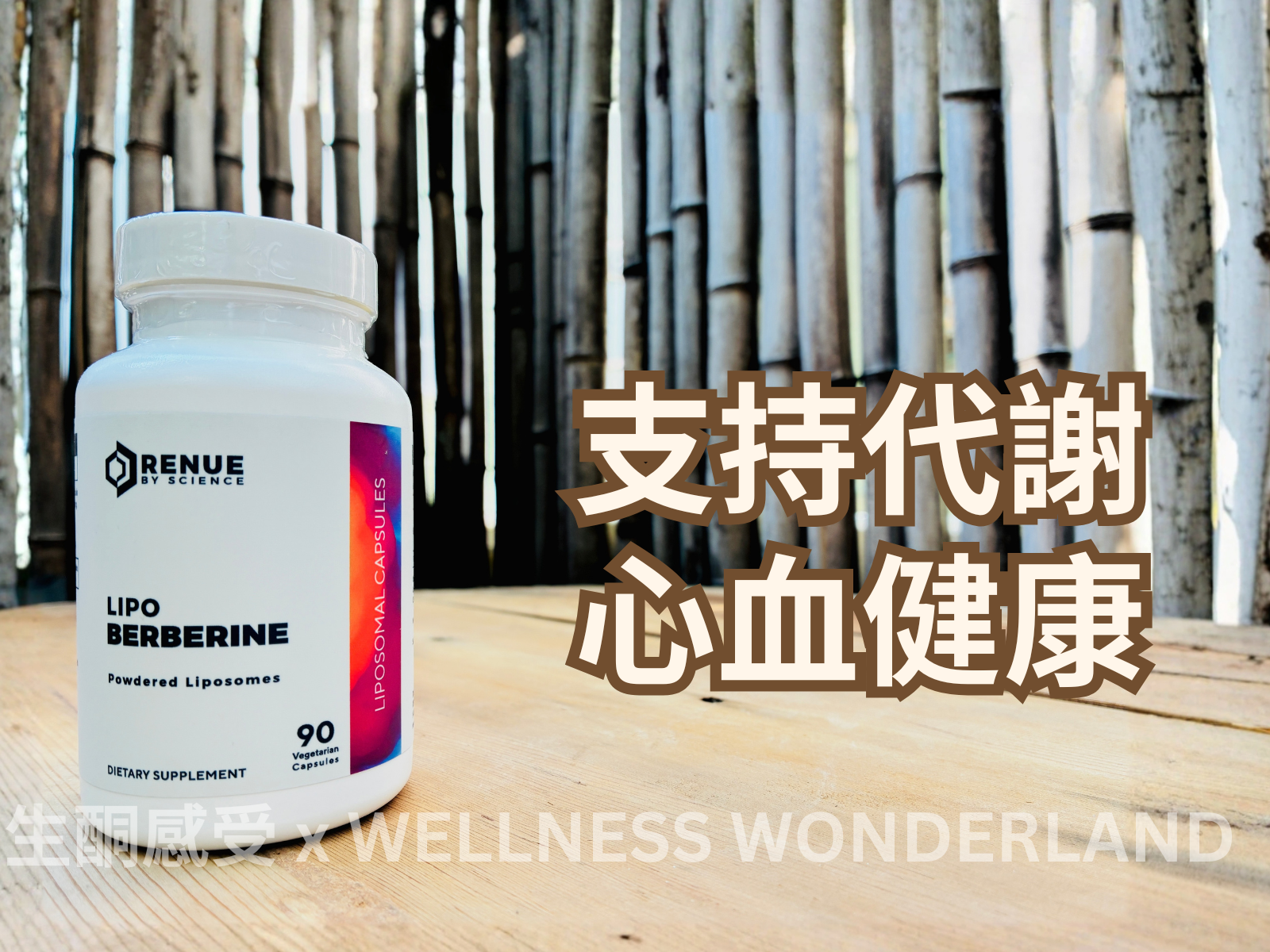 美國 Renue by Science<BR>Berberine 小蘗鹼
