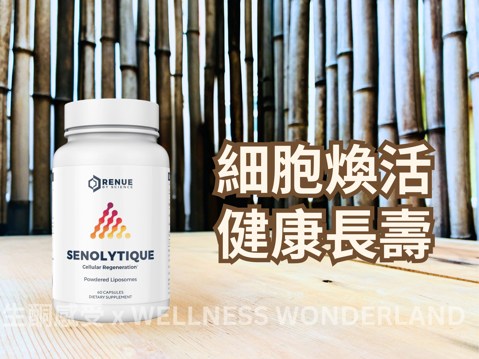 USA Renue by Science<br>Lipo Spermidine Liposomal Spermidine