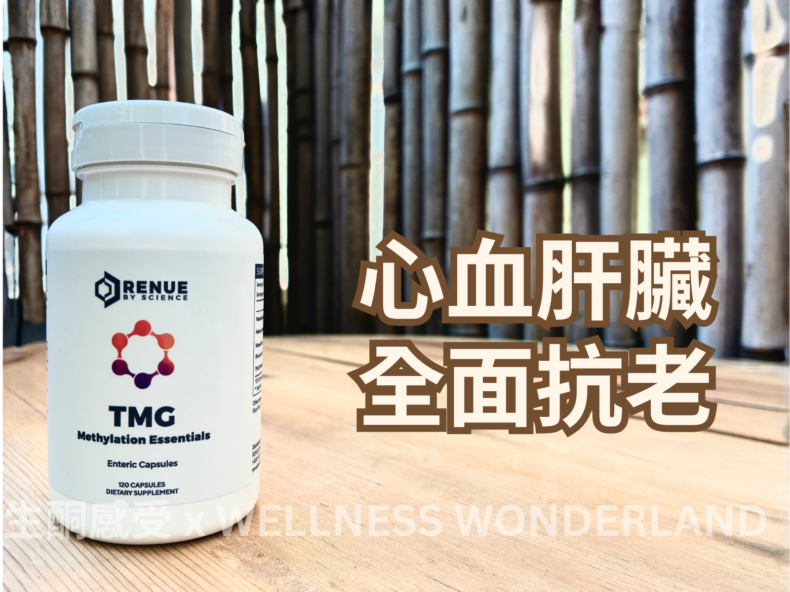 美國 Renue by Science<BR>TMG 甲基化要點