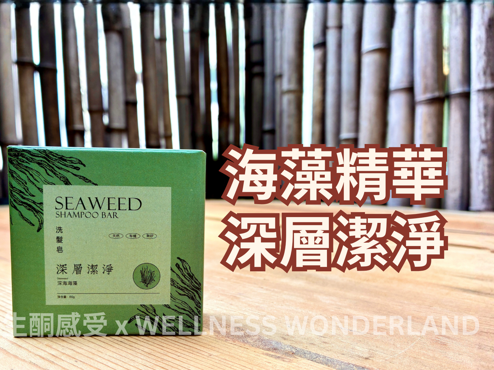 香港 Shampoo Bar - Seaweed 海藻洗髮磚