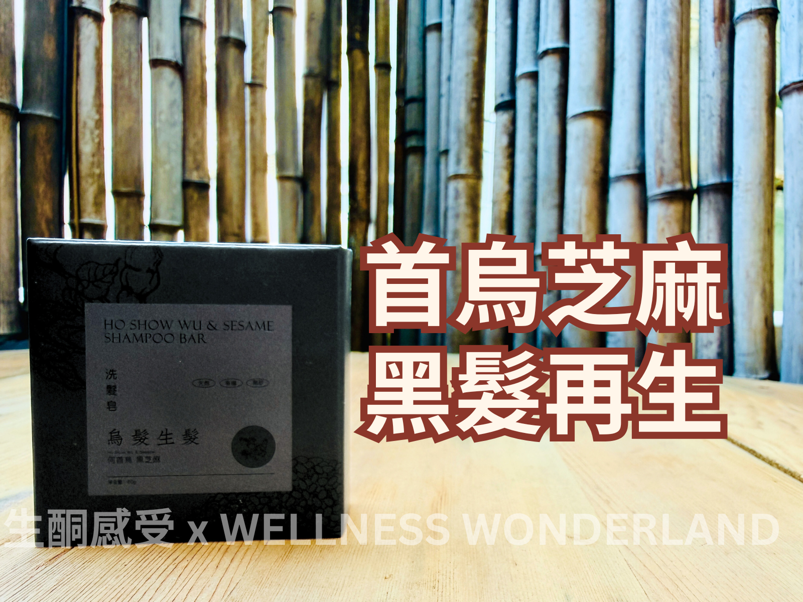 Shampoo Bar - Ho Show Wu & Sesame 何首烏黑芝麻洗髮磚