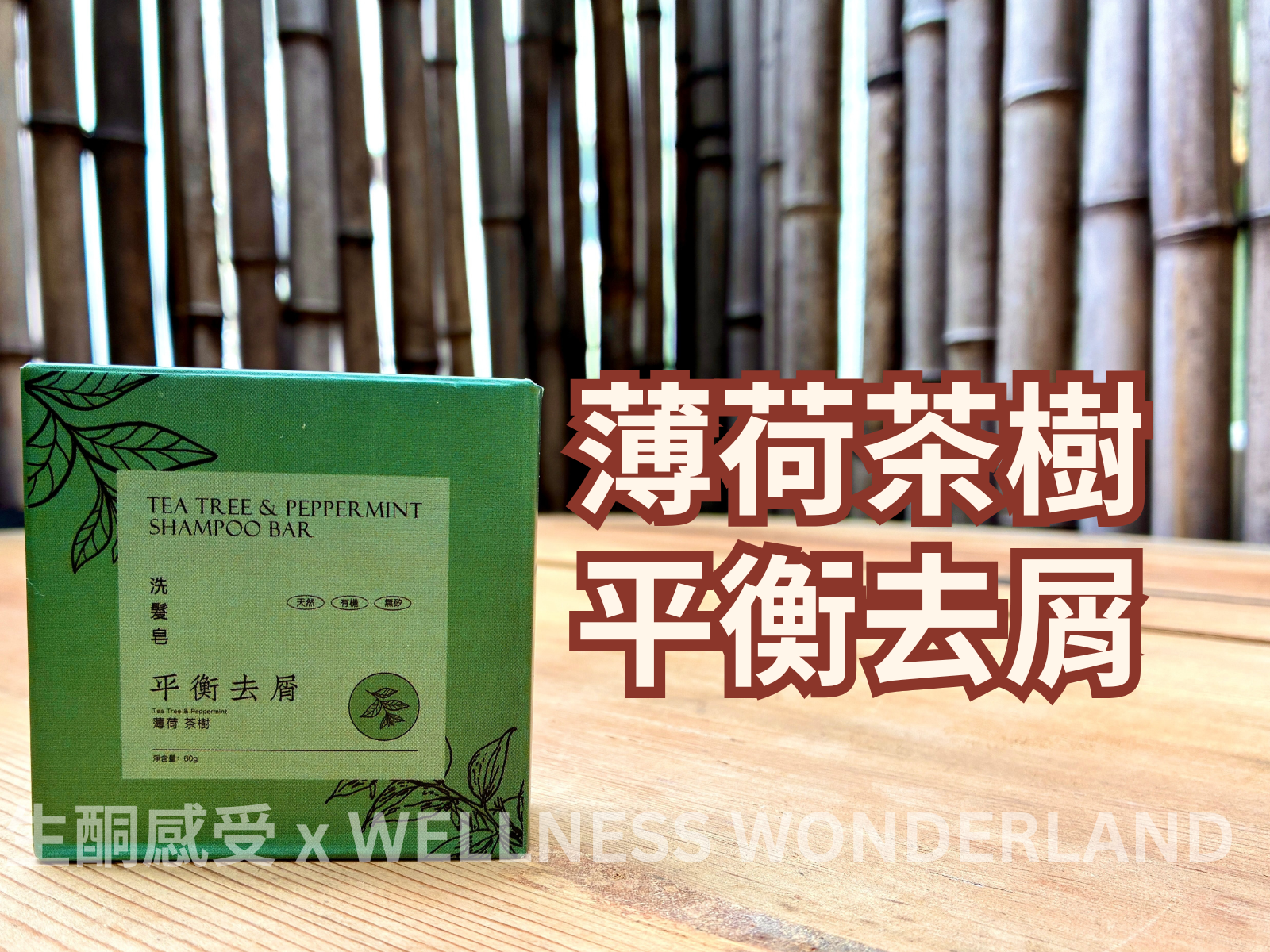 香港 Shampoo Bar - Tea Tree & Peppermint 茶樹薄荷洗髮磚
