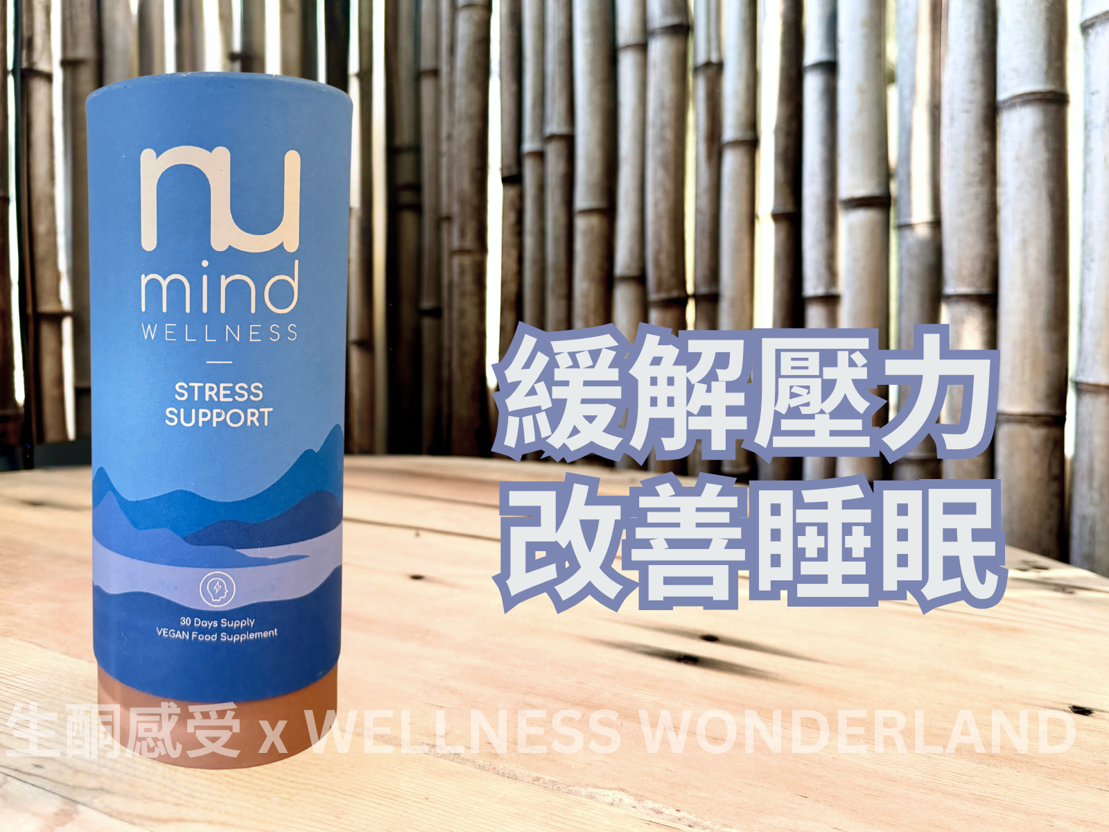 UK Numind Wellness - Stress Support