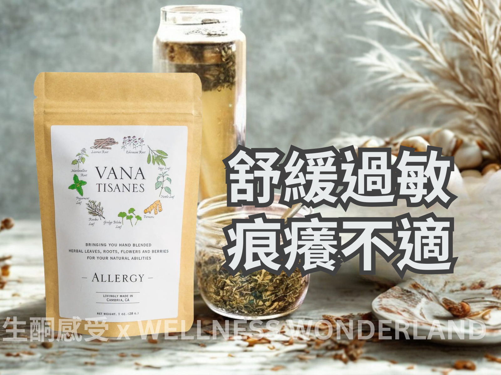 USA Vana Tisanes<BR>Herbal Tea 28g (Allergy) For Allergic Constitutions