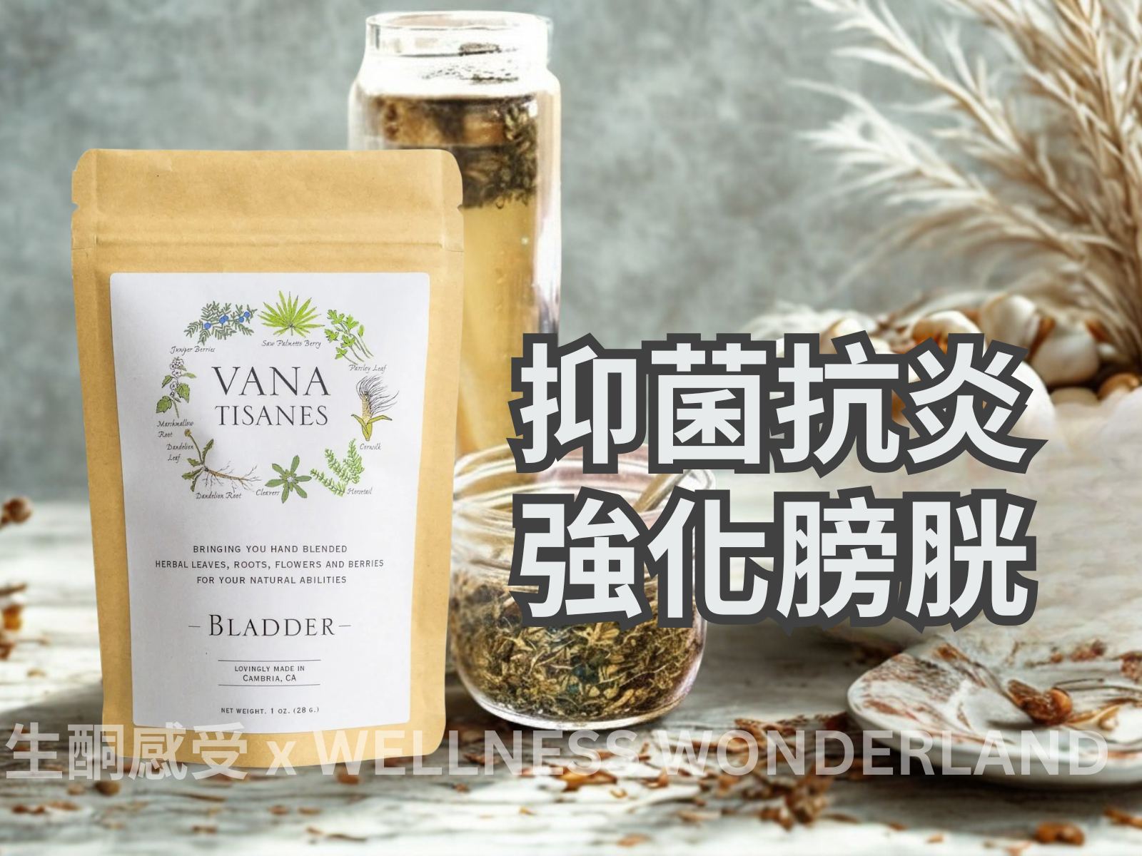USA Vana Tisanes<BR>Herbal Tea 28g ( Bladder ) Bladder Care