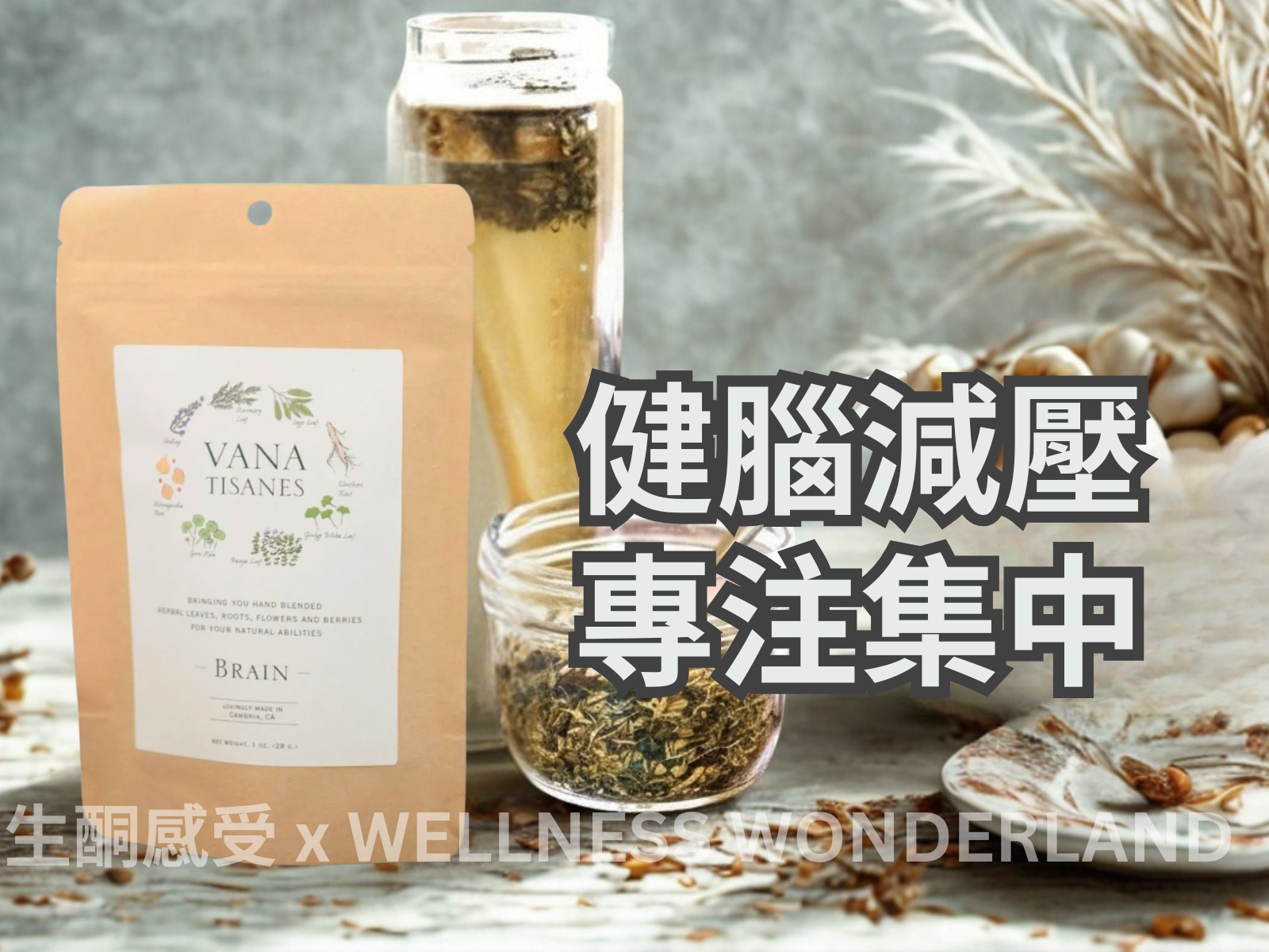 US Vana Tisanes<BR>Herbal Tea 28g (Brain) Herbal Tea Brain Protection Anti-Degenerative