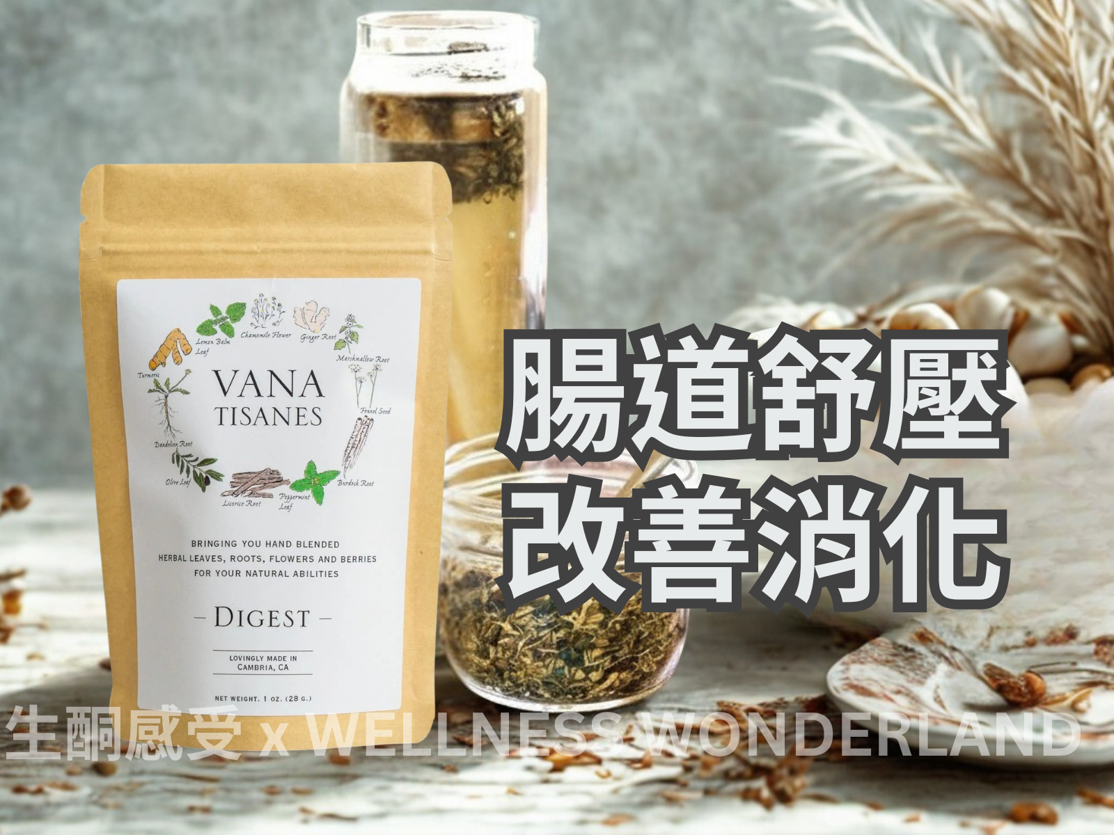 USA Vana Tisanes<BR>Herbal Tea 28g (Digest) Herbal Tea for Digestion