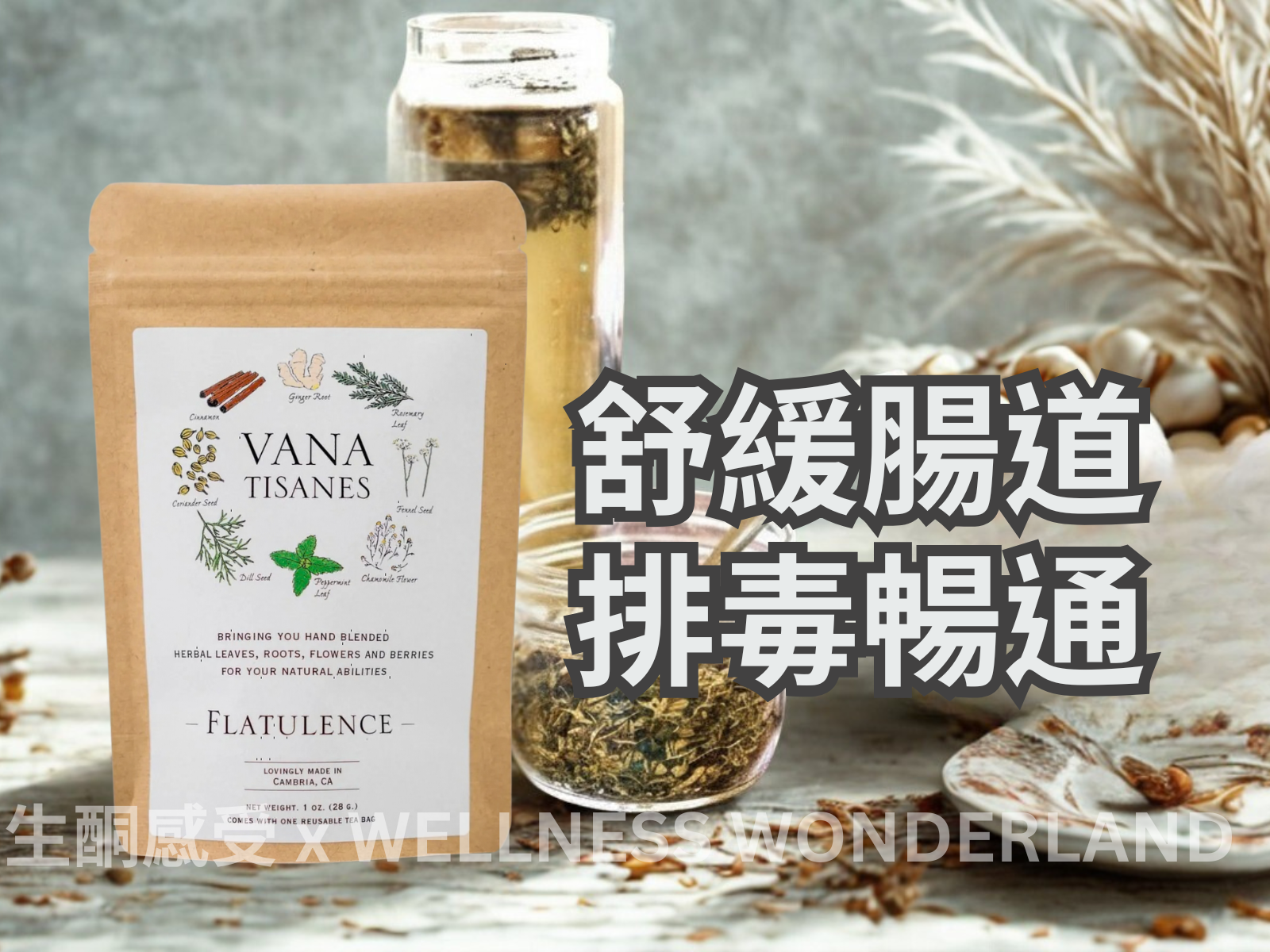 USA Vana Tisanes<BR>Herbal Tea 28g (Flatulence) Herbal Detox