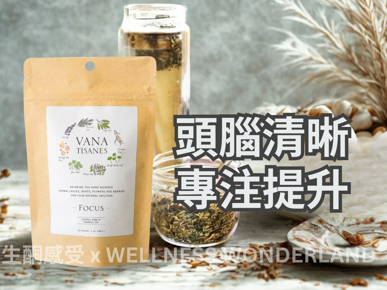 US Vana Tisanes<BR>Herbal Tea 28g (Focus) Herbal Tea to improve memory