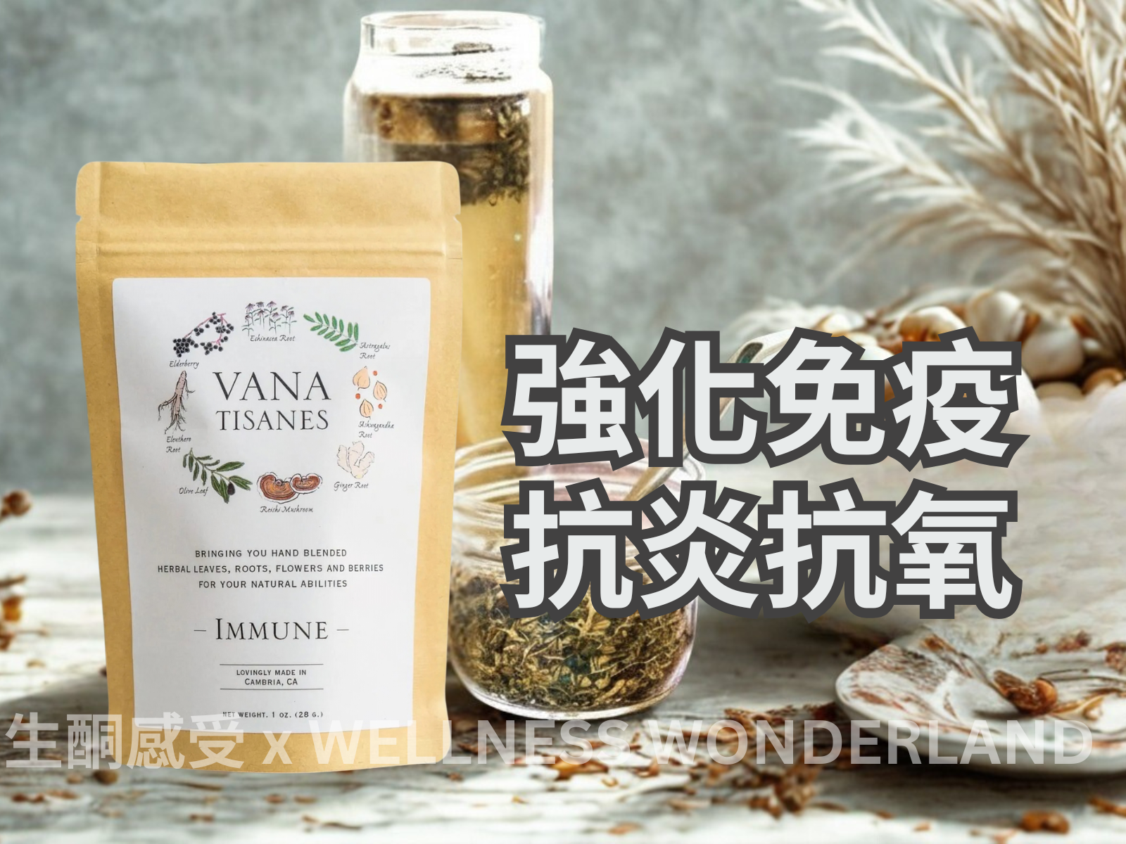 美國 Vana Tisanes<BR>Herbal Tea 28g ( Immune ) 草本茶 免疫防護
