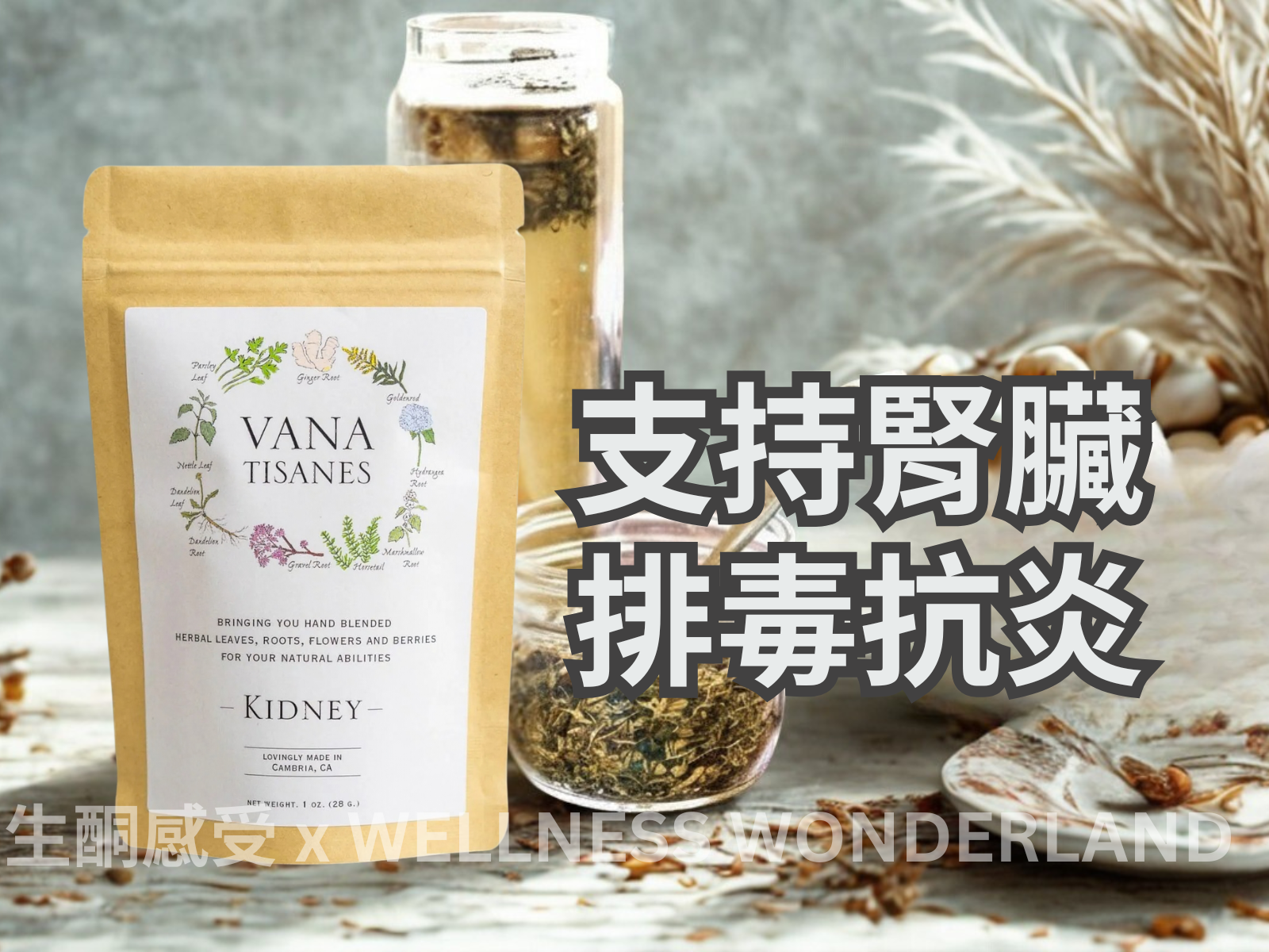 美國 Vana Tisanes<BR>Herbal Tea 28g ( Kidney ) 草本茶 腎氣保養