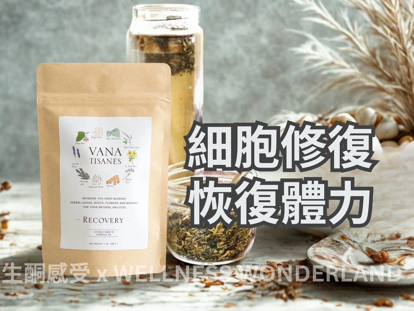 美國 Vana Tisanes<BR>Herbal Tea 28g ( Recovery ) 草本茶 細胞修復