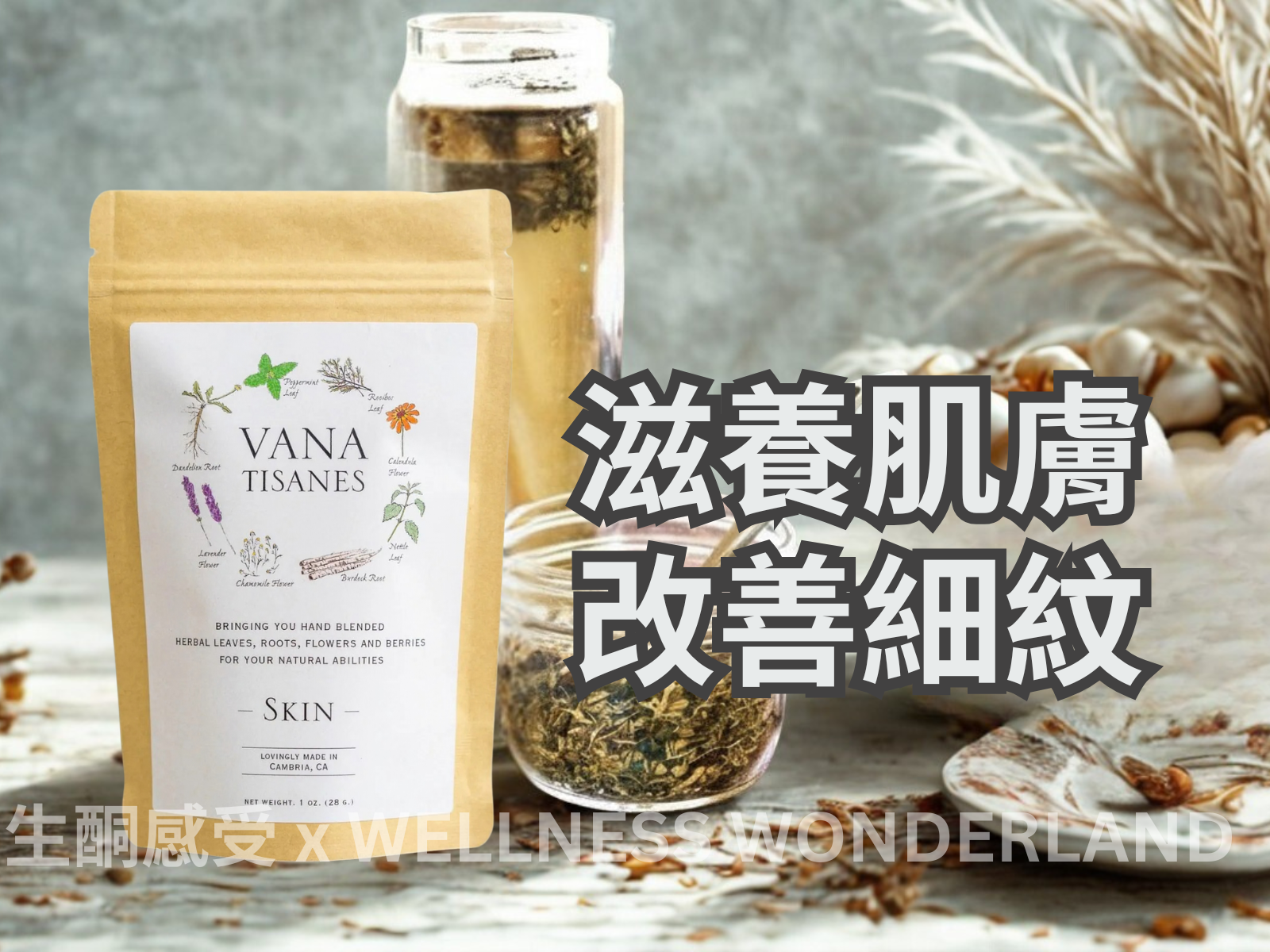 美國 Vana Tisanes<BR>Herbal Tea 28g ( Skin ) 草本茶 抗老活膚
